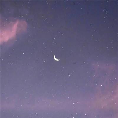 mc地图皮肤盒子手机版下载